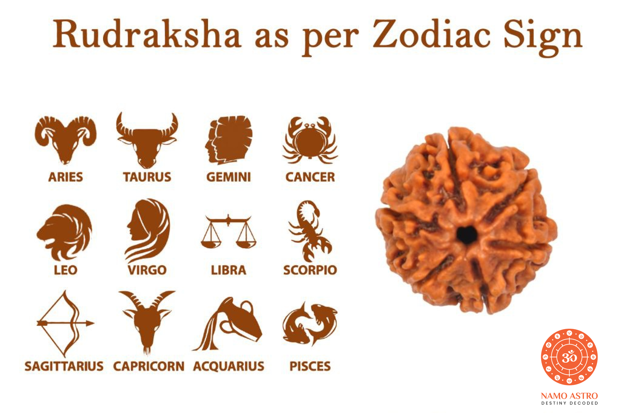 Choose Your Rudraksha According to Your Zodiac Sign