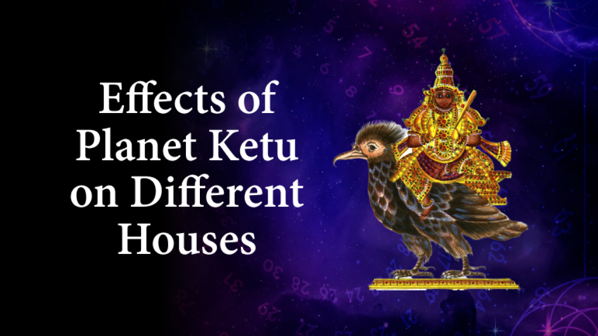 Ketu Mahadasha: Transformation into Shadowy Realm of Vedic Astrology -  AstroNidan