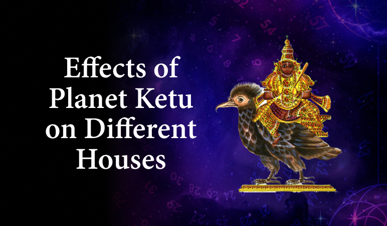 Effects Of Planet Ketu On Different Houses