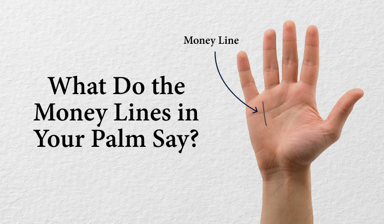 What do the money lines in your palm say?