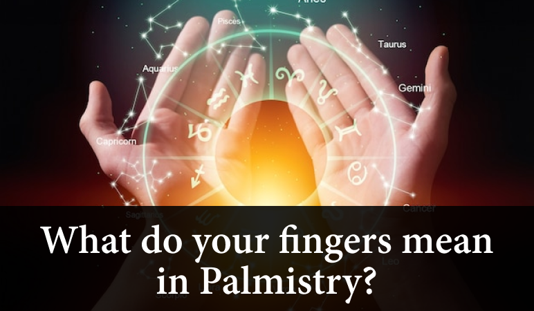 What do your fingers mean in palmistry?