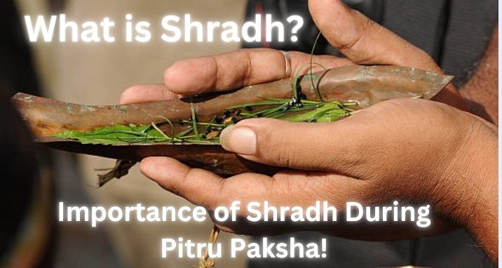 What is Shradh?